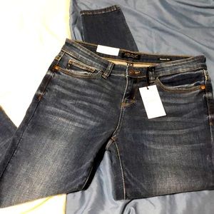 Judy Blue Mid-Rise non-distressed skinny jeans